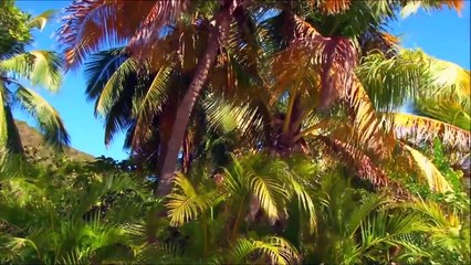 Ρε φίλε Ανακύκλωνε!