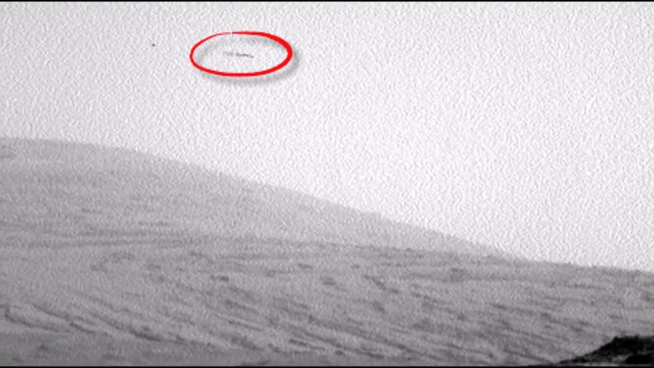 Bird on Mars