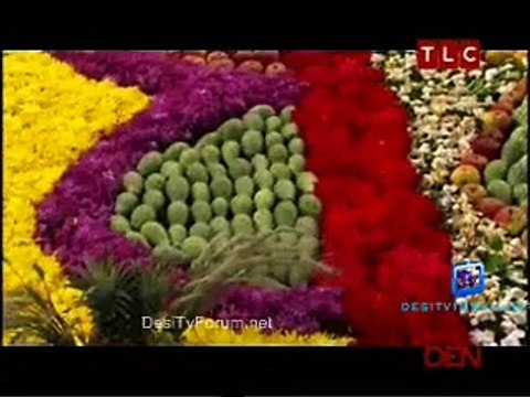 Chucks Week Off Mexico 2nd March 2015 Video Watch Online pt4