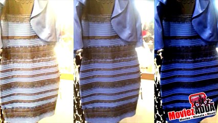 Which Colour Is The Dress That BROKE The Internet? Vote