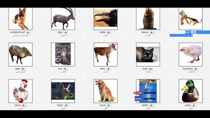 معاني بعض الحيوانات باللغة السويدية