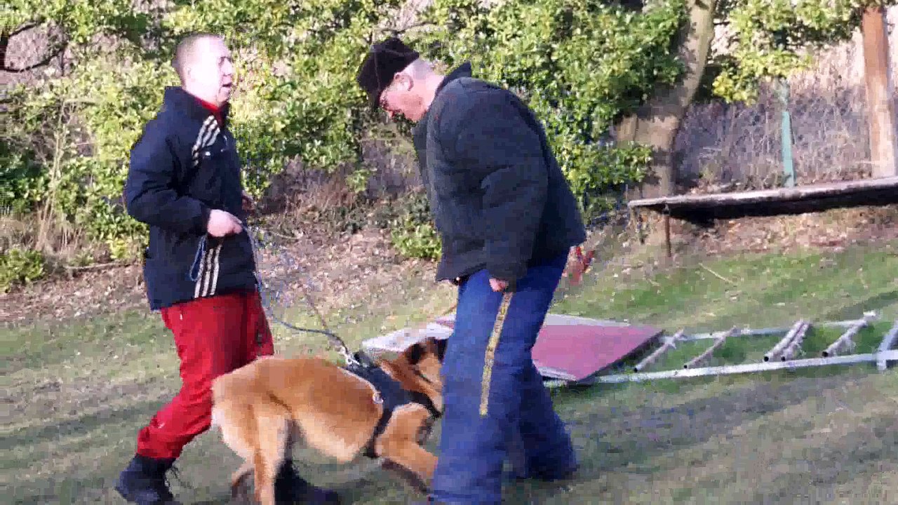 Jappeloup de la Vallée des Suessionnes _(ALLConverter)