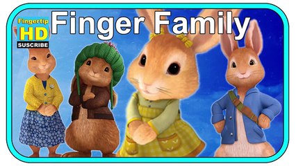 Finger Family Song -  Peter Rabbit Family Finger Rhyme - Daddy Finger for Children and Baby