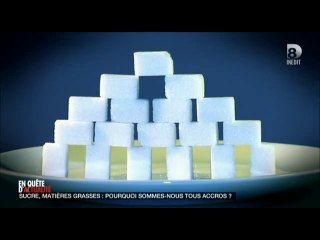 Sucre et matières grasses (Le sucre)