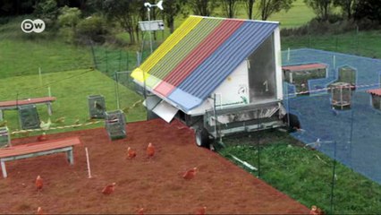 How do you make livestock organically? | Tomorrow Today- Interview