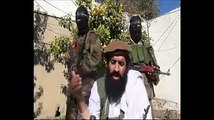 Taliban Declared Misbah-ul-Haq Better Player Then Tendulkar, Watch Their Video Statement