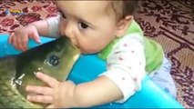 Baby fish Kissing Baby Videos 2015