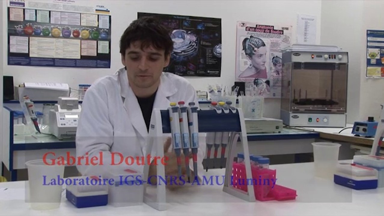 Gabriel Doutre