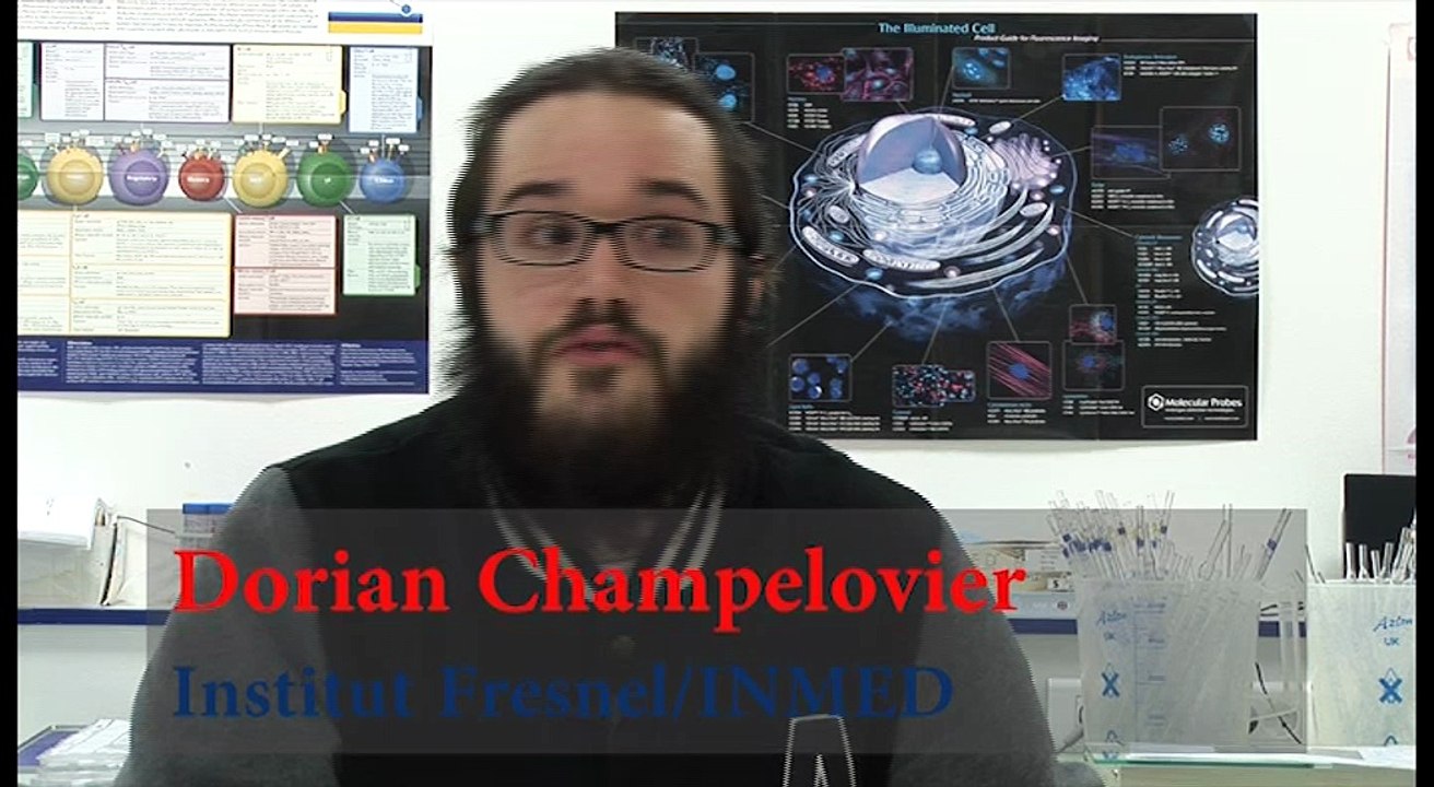 Dorian Champelovier
