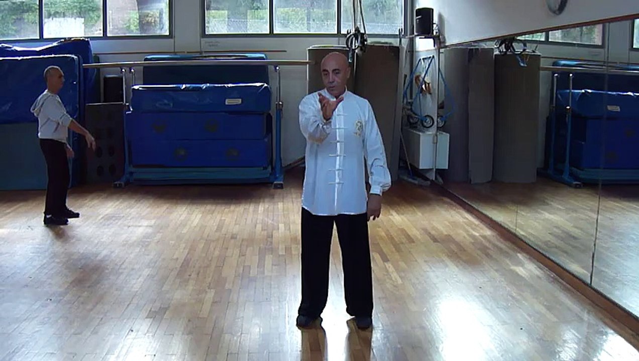 TAIJI QUAN A ROMA: IL "MOVIMENTO GENERATIVO" DEL DRAGO - M° FLAVIO DANIELE