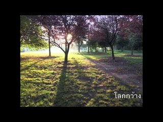 โลกกว้าง :: Pin In Motion