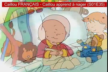 Caillou FRANÇAIS - Caillou apprend à nager (S01E35)