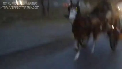 rawalpindi horse race(kabootar vs bhalli gori)winner shada king rawalpindi
