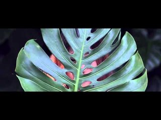 [Teaser MV] เธอในนิทาน(Tales) - The Rovers