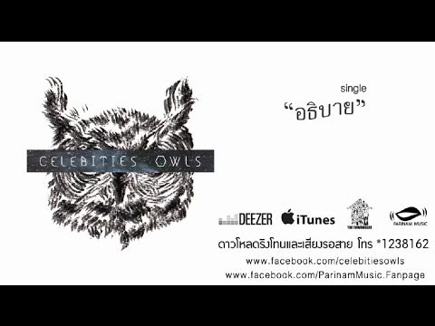 อธิบาย - Celebities Owls [Official Audio]