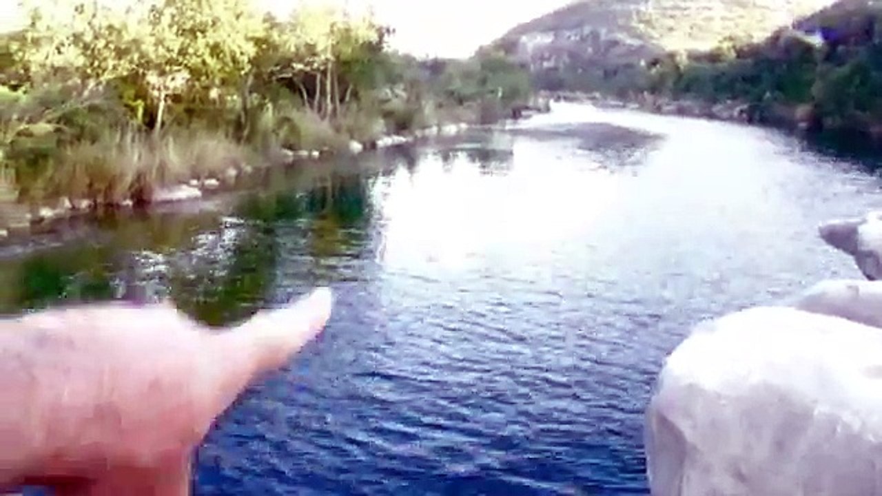 Diving for Turtles!