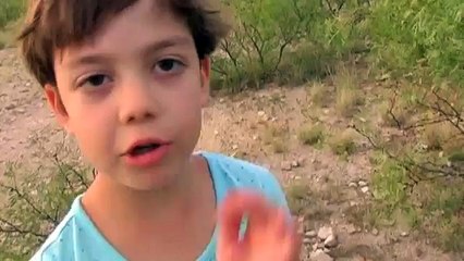 Famed Myrmecologist Dr. Sadie discusses ants