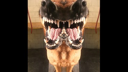 Be Aware Csocso @ Morphing