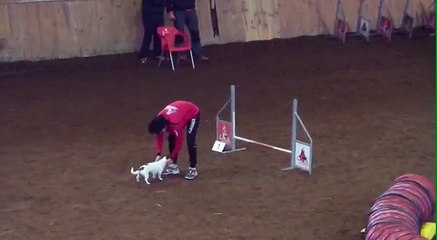 Chris & Gen - RSCE G0 - Xanastur 1ª Manga [Domingo 01/03/2015] Asturias