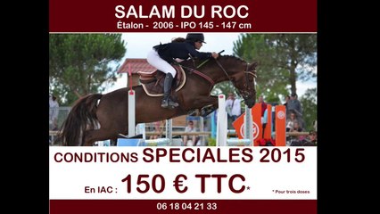 salam du roc