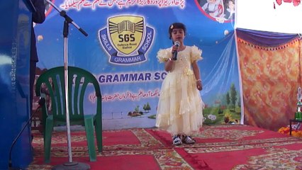 Skills Grammar School Sialkot