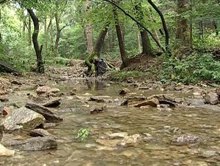 역삼 건전마사지 후기 즐겨박기