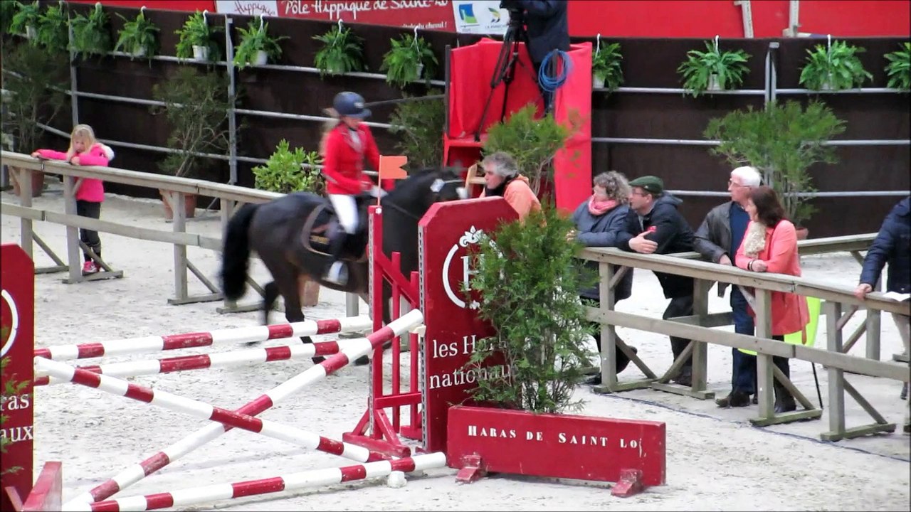 Elevage Des Etoiles - Salon Normand Des Etalons Poneys - Saint Lô - 01/03/2015