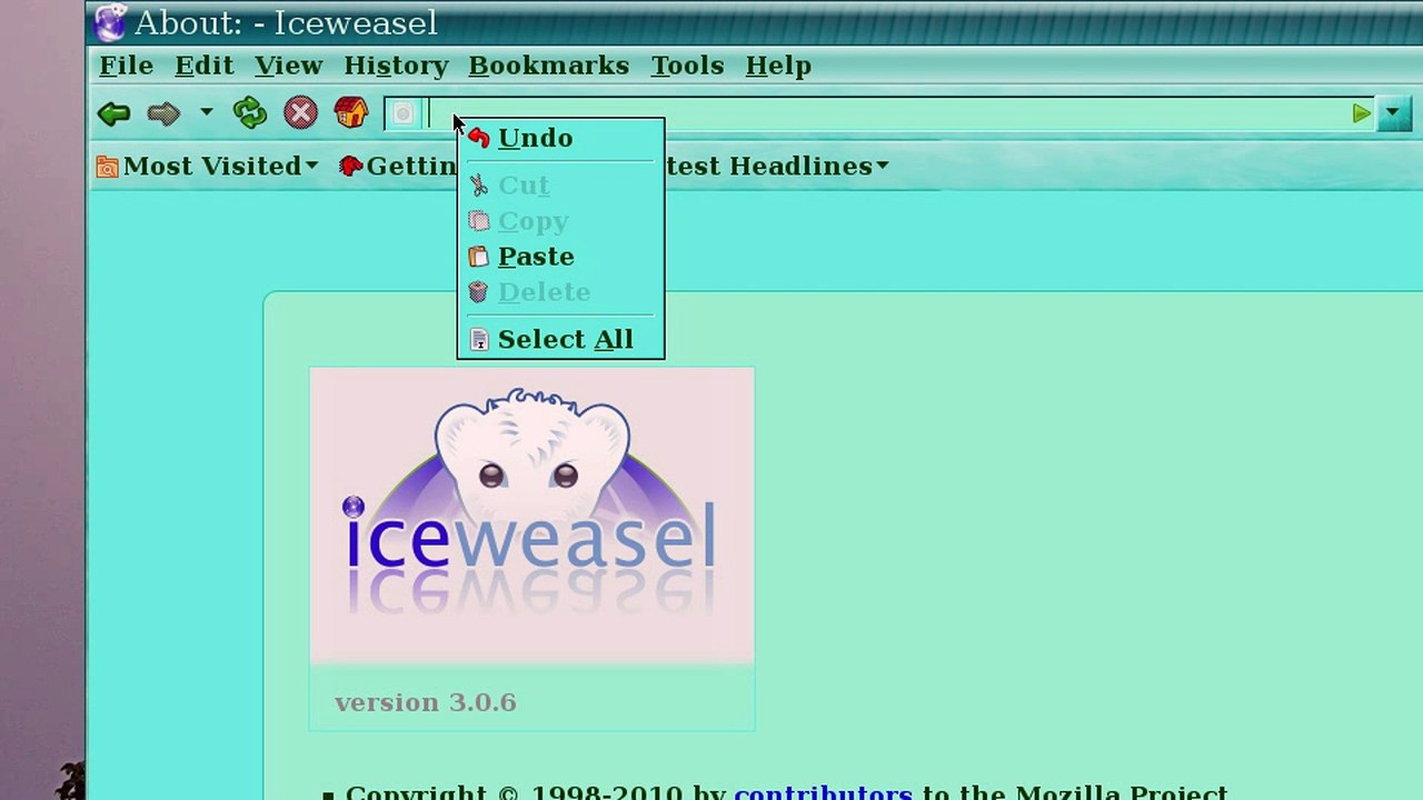 Affiliate Marketing: Deine Provision wurde gestohlen! Lösung: Reflink verstecken