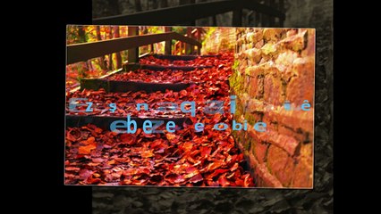 zazaca  şiir ahmet hakan vergi