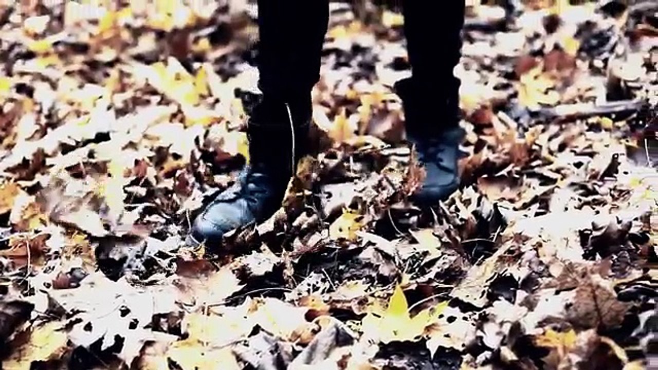 Gece Yolculari - Affedecek misin