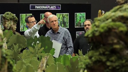 Un parc d'attractions Avatar