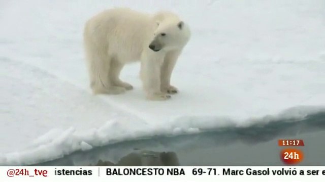 La ONU alerta sobre el cambio climático