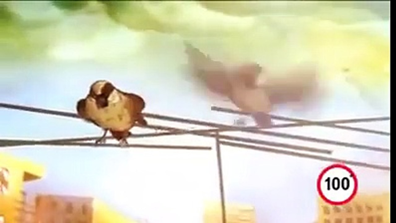 Father's Care For their homes World's Best 100 sec video. Must Watch!