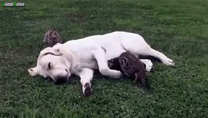 I'll just fit myself right there