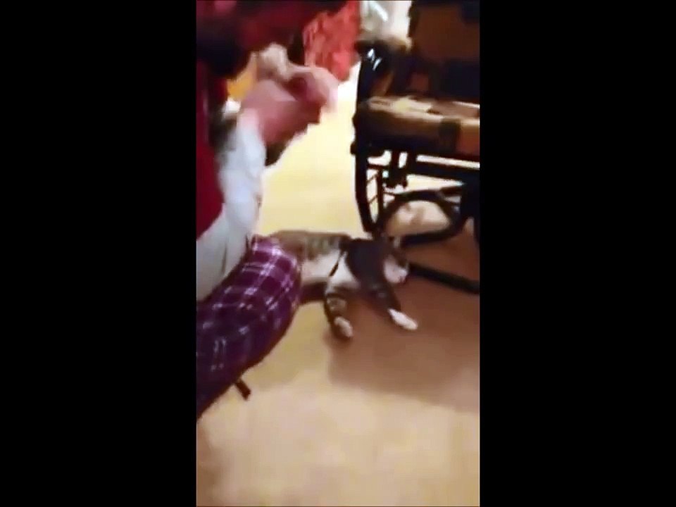 Ce chat a trouvé la meilleure astuce pour ne pas sortir de chez lui