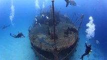 Stuart Cove's Dive Bahamas Wreck Dive