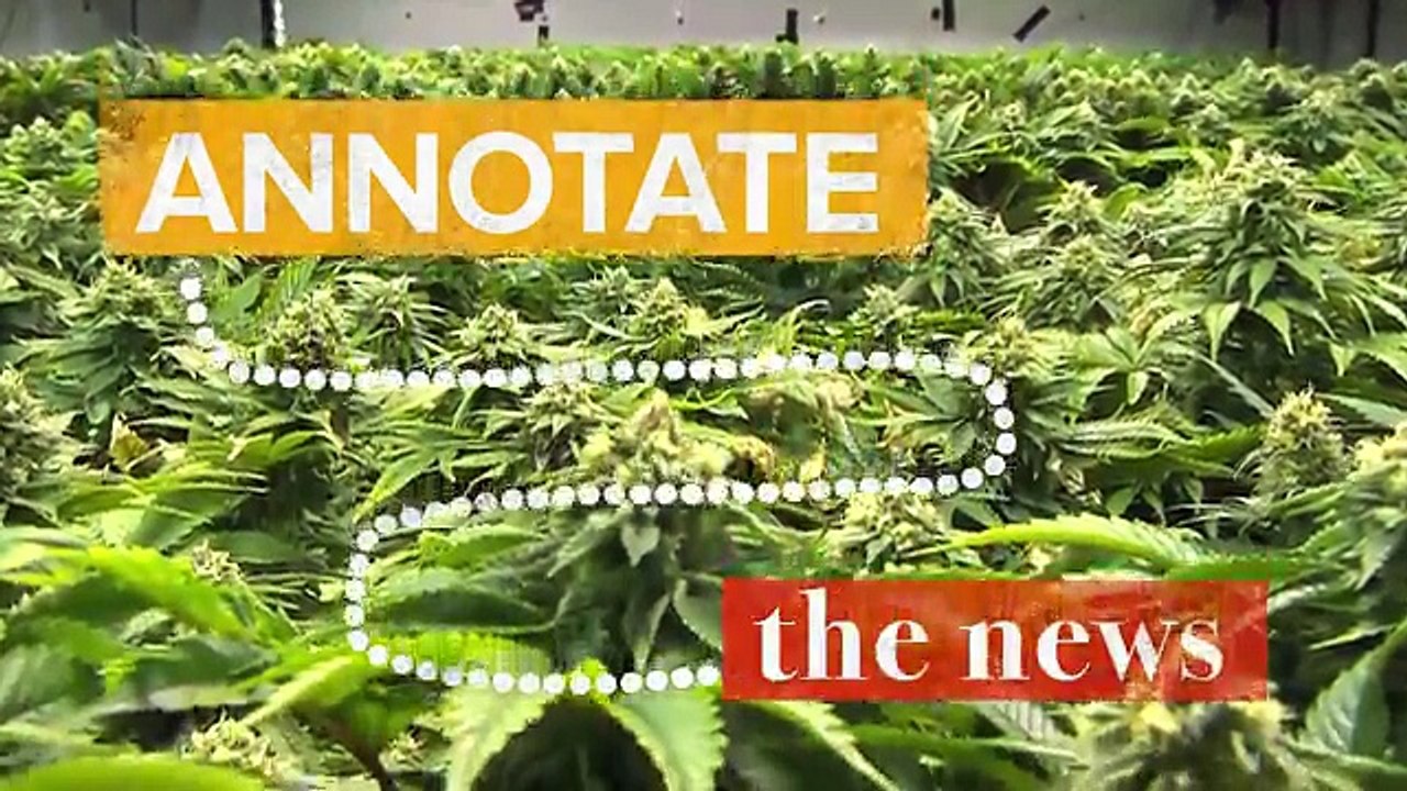 What's Going On With Weed Legalization These Days?