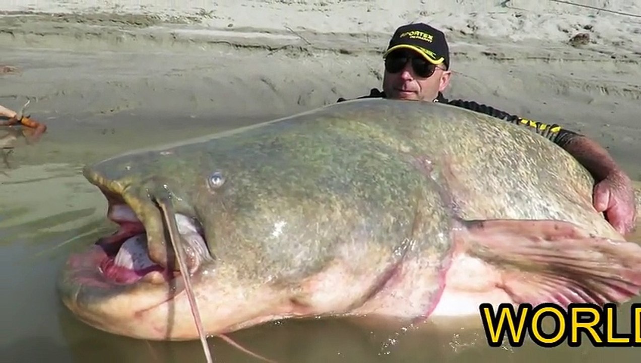 WORLD RECORD SILURO SPINNING