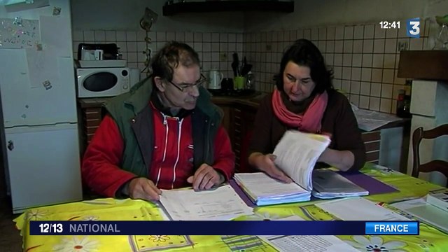 1600 poules refusent de pondre dans un élevage