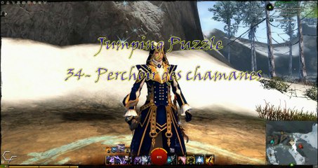 34- Perchoir des chamanes