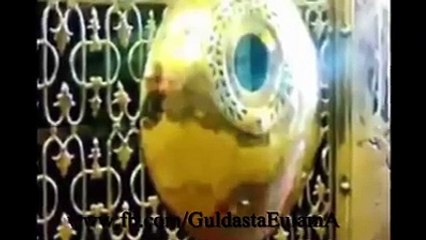 روضہ رسول کی جالیوں کا اندرونی منظر