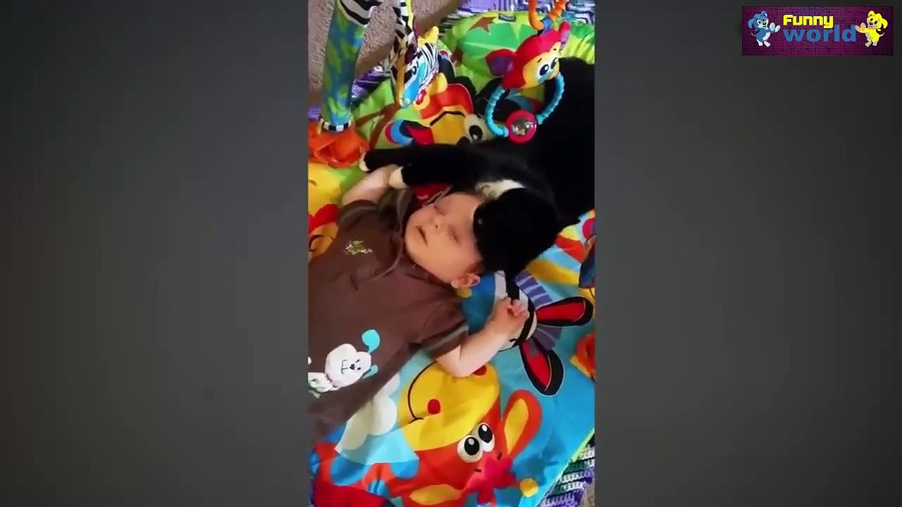 Cute Cat And Baby Videos Compilation 2015 Cat Baby 2015 720p