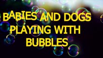 Dogs and babies playing with bubbles Funny and cute compilation
