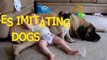 Funny babies imitating dogs Cute dog & baby compilation