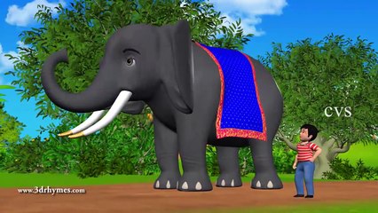Elly the Elephant - 3D Animation English Nursery rhyme for children
