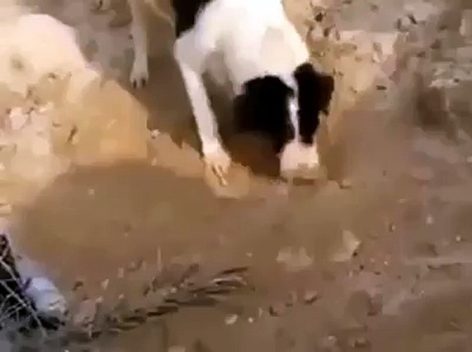 wow