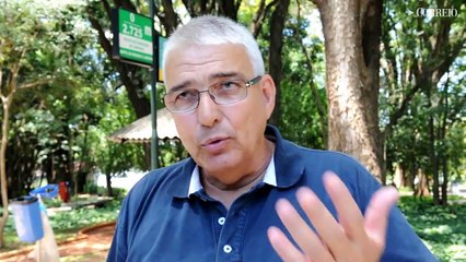 Árvores da Lagoa passarão por exames para constatar risco de queda