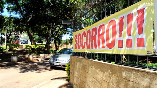 Após pedido feito em faixa, Prefeitura poda árvores de praças abandonadas