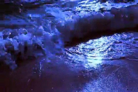 Shaaman Paiyan - HD Video Songs -Tezabi Video