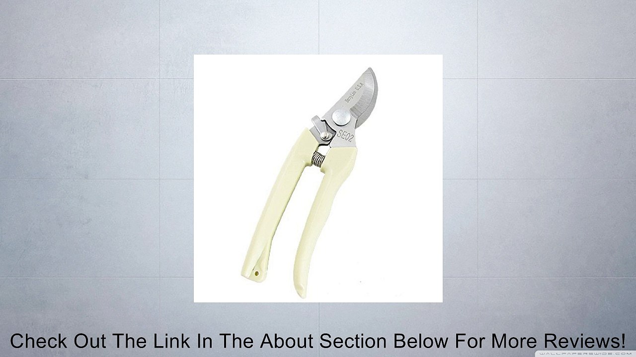 Dimart Bonsai Plant Branches Pruning Cutting Pliers Cutter 7" Review